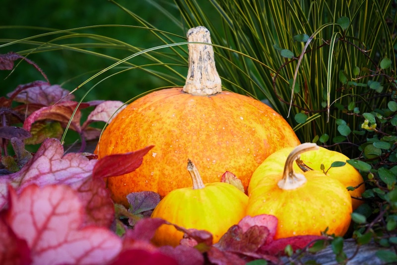 Mabon – Herbsttagundnachtgleiche – Erntedank